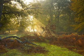 MILANSPORT入口-中国香港乒乓球未来展望：如何通过科学训练提升球员个体水平，香港乒乓球强吗