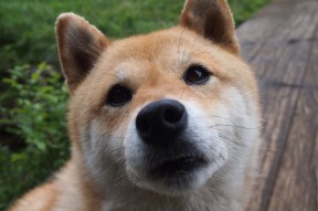 -“高新体育中心：举重选手角逐顶峰，赛场气氛紧张刺激”