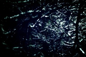 MILANSPORT下载-欧洲杯冠军悬念：战术调整成败关键！，欧洲杯冠军hth6点cn