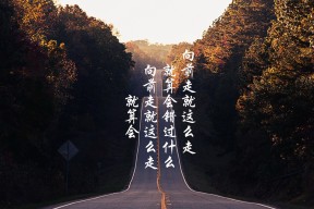 -法甲球队利用数据可视化辅助战术决策的创新实践