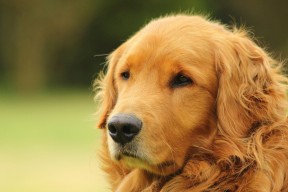 米兰体育-视频分析系统成为乒乓球选手训练新助手，乒乓视频app