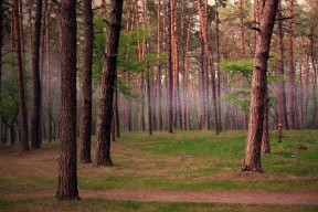 MILANSPORT入口-普里戈达：50蛙节奏控制堪称典范