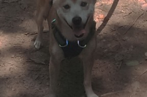 AC米兰-世界杯激情狂热：精彩瞬间不断涌现！，世界杯亲吻