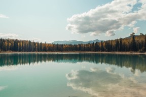 米兰登录入口-托里·哈斯克决赛冲刺表现抢眼，哈里托马斯nba