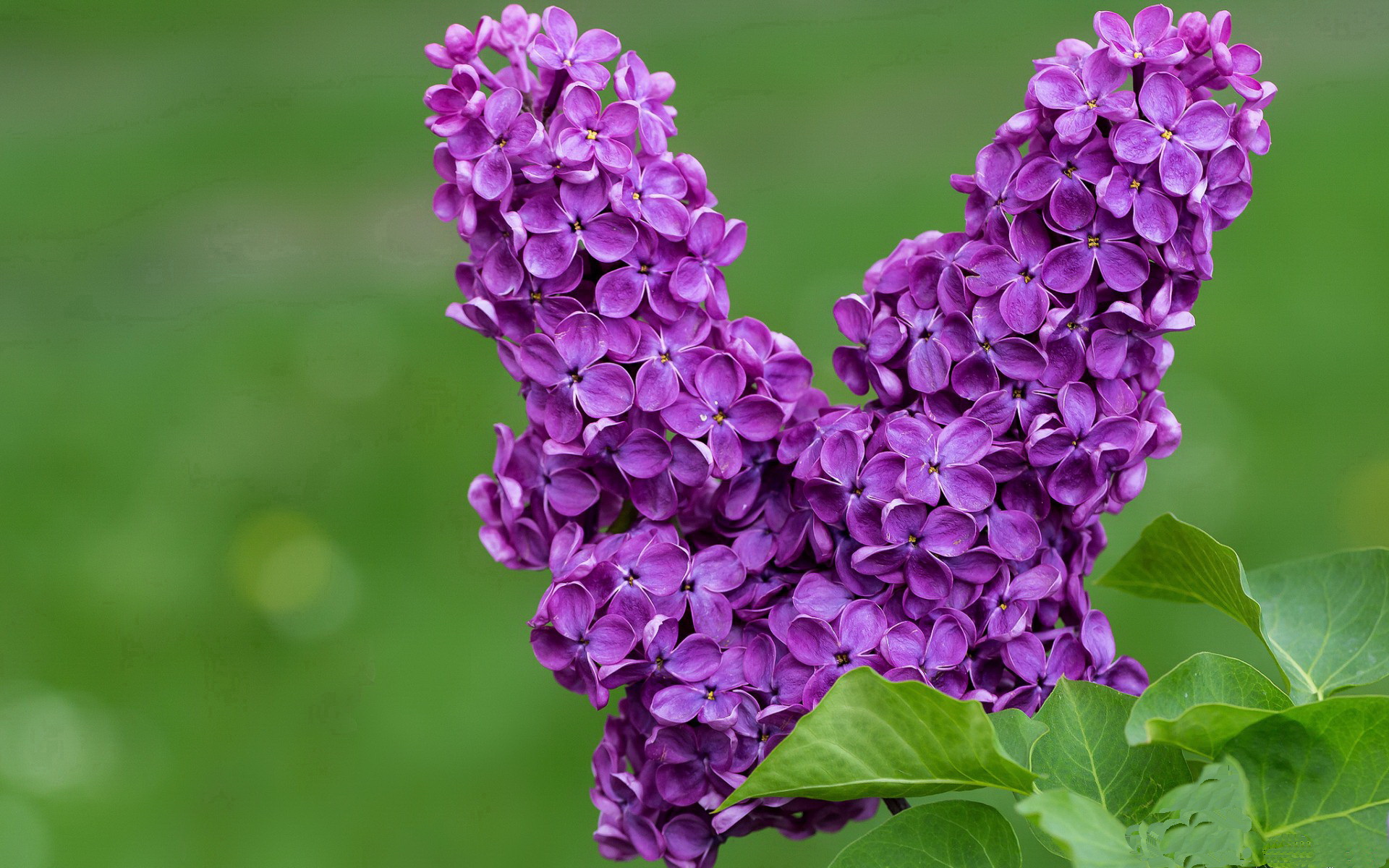 体育文创产品设计大赛激发学生创意灵感,体育文创项目