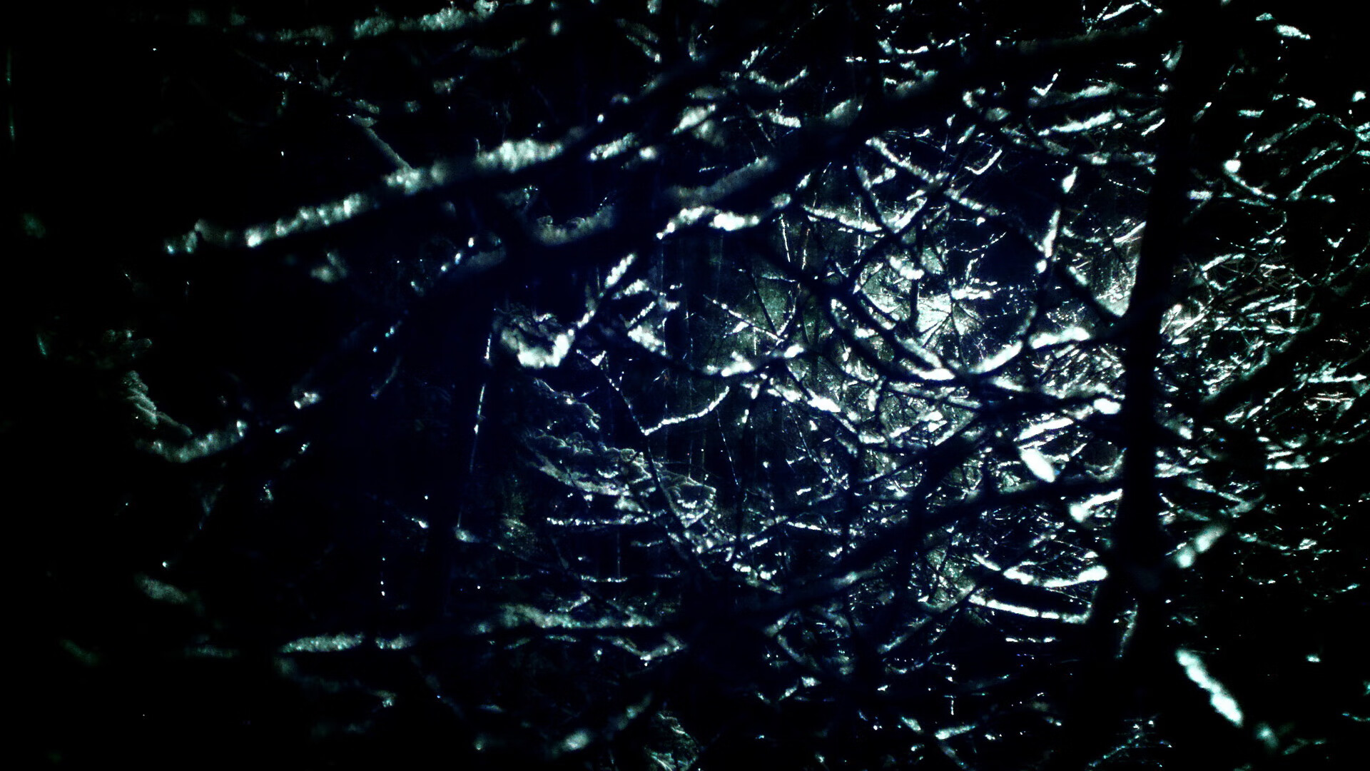 德国队在2024年乒乓世界杯上的精彩表现与成就,2020年德国乒乓球公开赛男单决赛