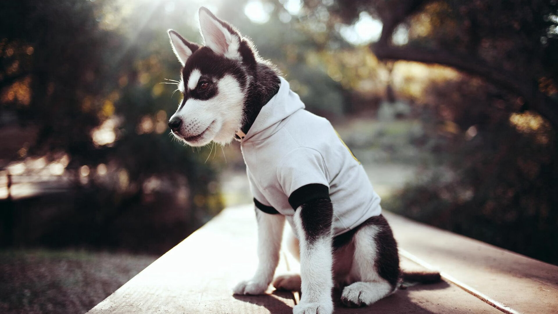 快节奏打法是否更考验场上执行的即时反馈能力,快节奏举例