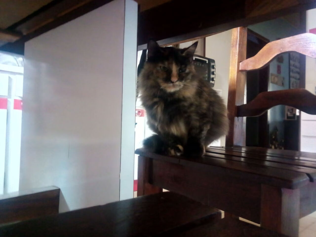 混合团体世界杯赛制解读:2024年国际乒联赛制解析,国际乒联考虑延期举办世乒赛