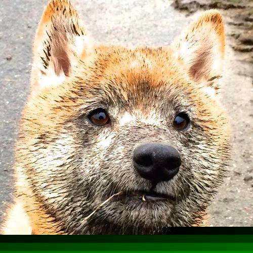 赫塔菲构建稳固防守墙化解多次危机,赫塔菲ds