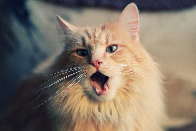 世界杯历史经典:那些让人热泪盈眶的瞬间,世界杯历史经典_那些让人热泪盈眶的瞬间是什么歌