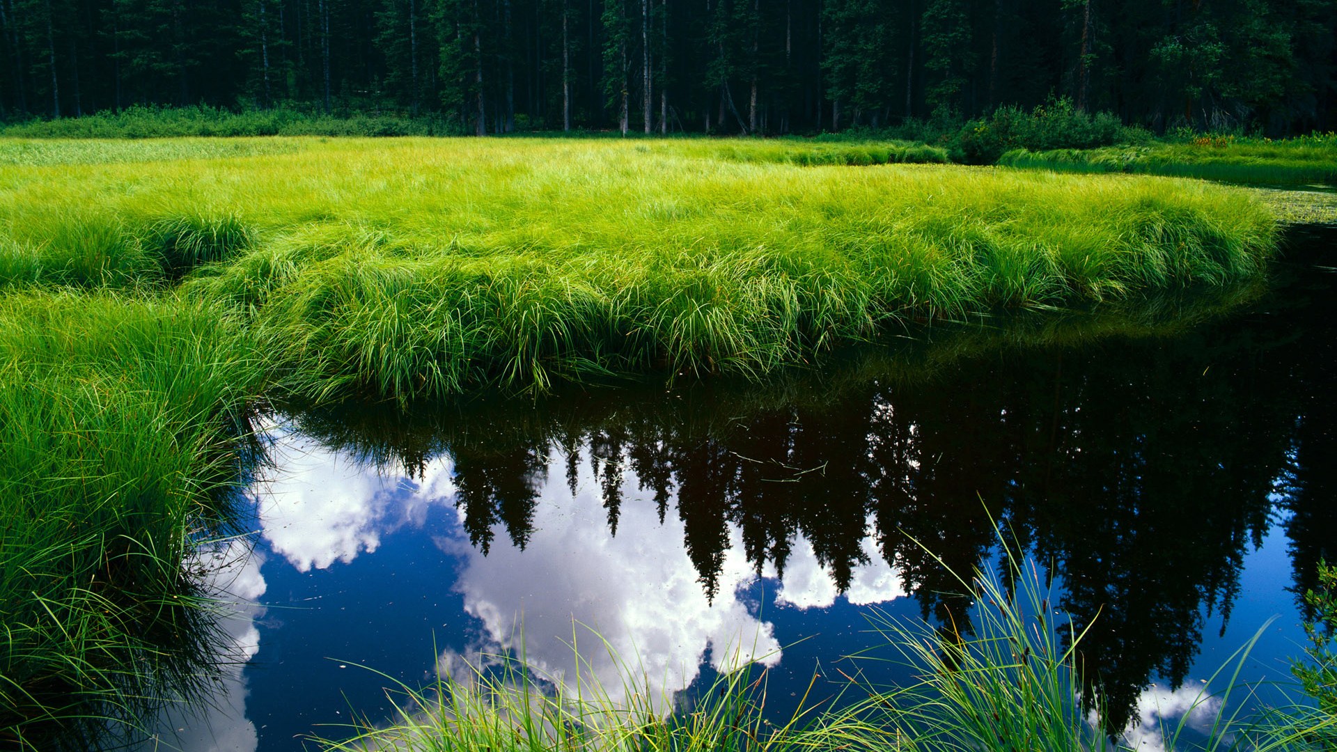 中国篮球打造城市代表队体系构建区域联赛格局,全国篮球城市