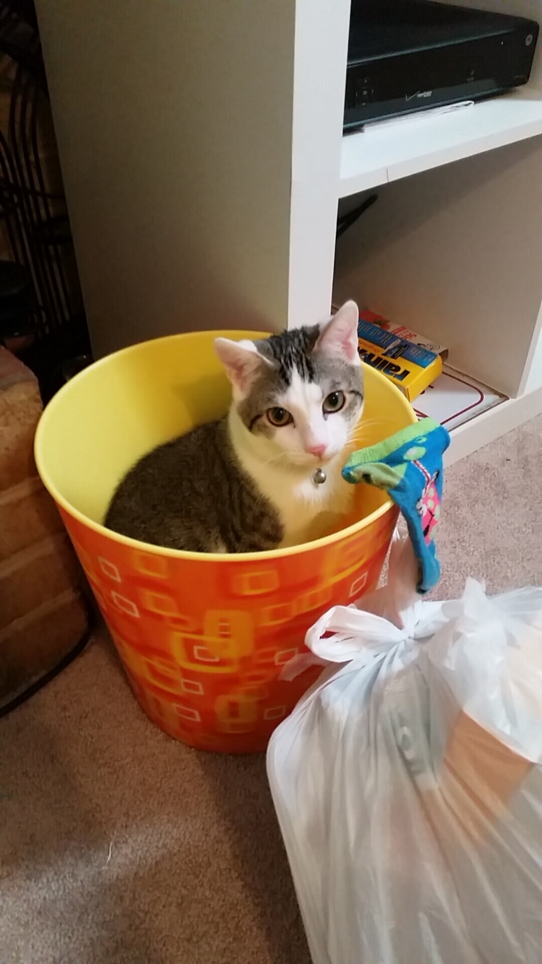 优秀裁判团队执行任务确保关键场次公平公正,优秀裁判员应具备哪些素质