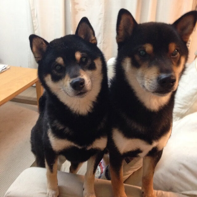 五大联赛是否建立位置互换机制加强球员战术弹性,五大联赛地位