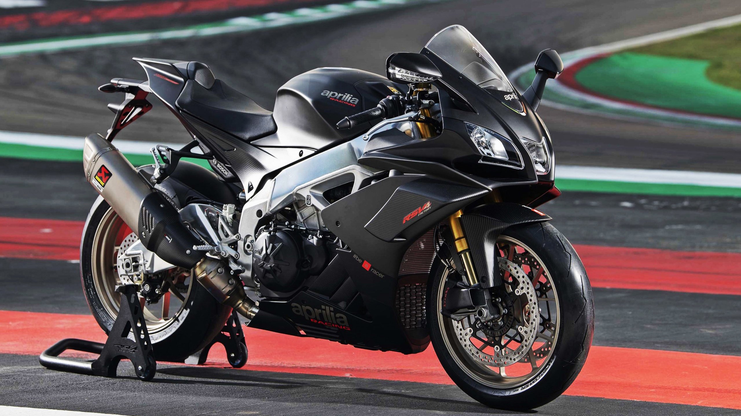 奥地利男队自由泳强势起步,奥地利游泳名将