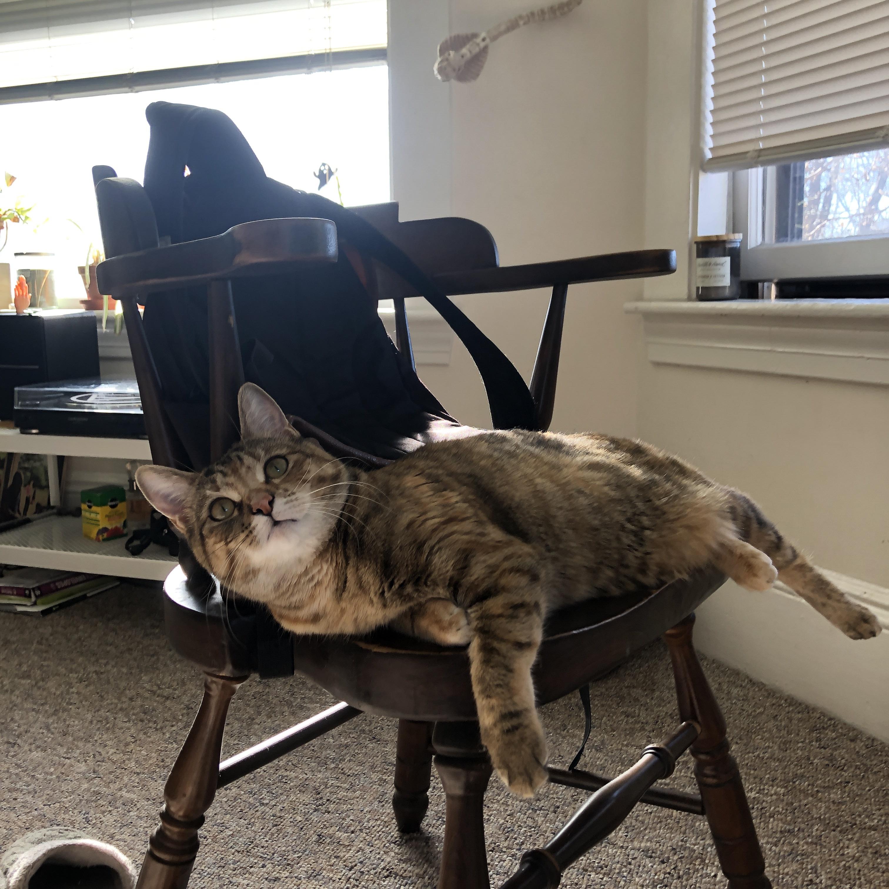 女子足球联赛赛程公布,女子足球全国联赛