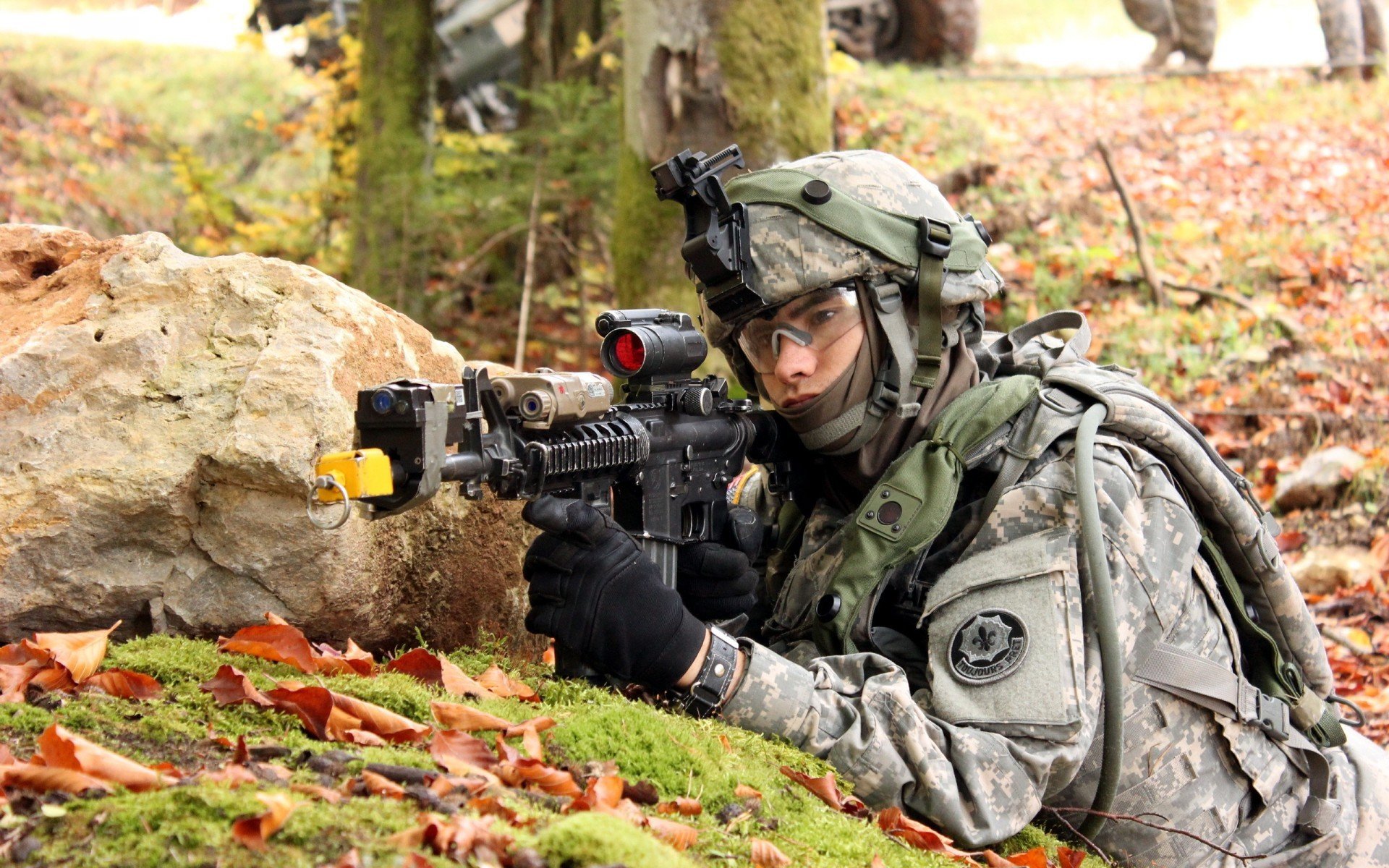 张伟丽拳击课程上线引热购潮,张伟丽简历拳击格斗运动员