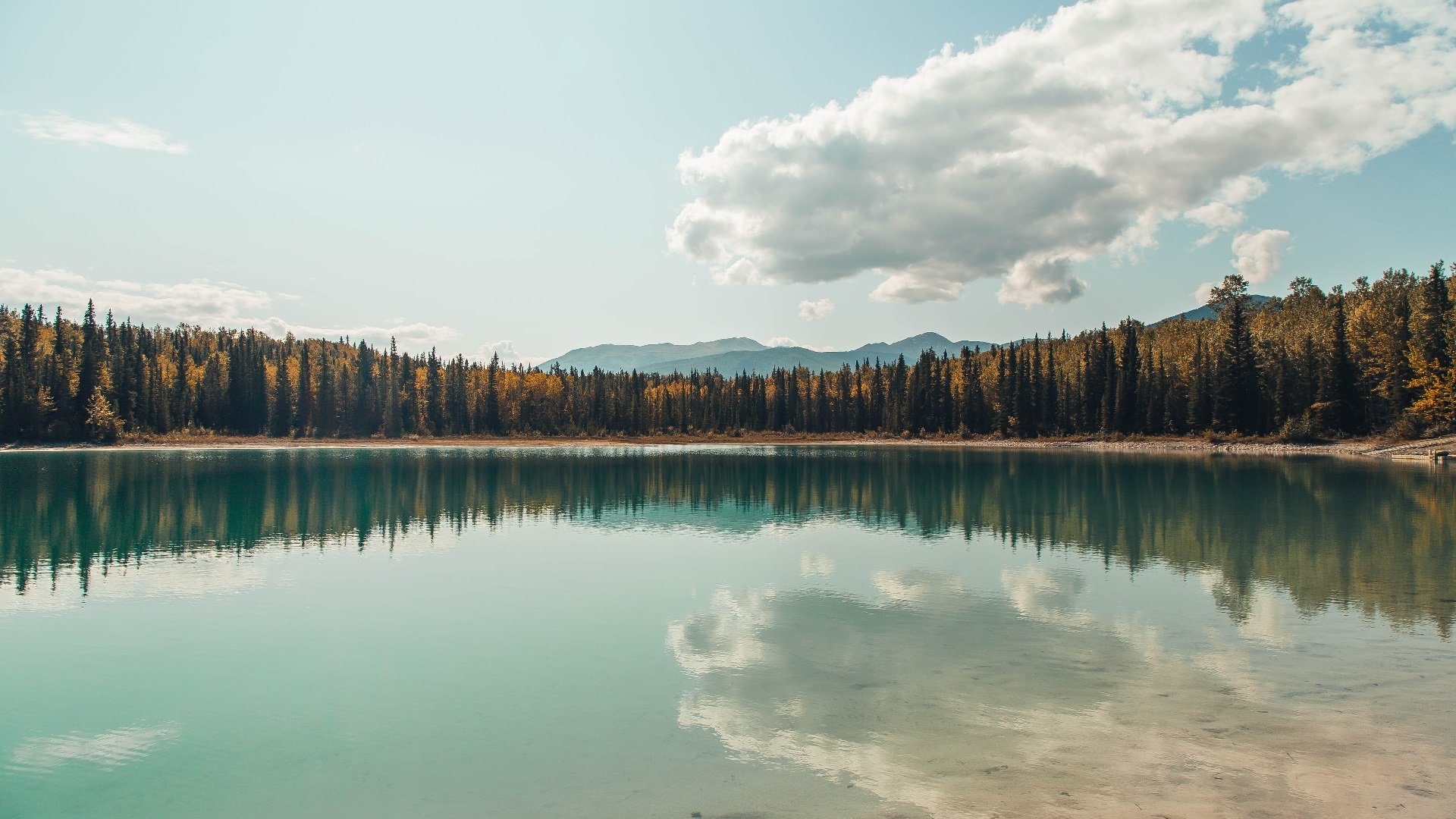 托里·哈斯克决赛冲刺表现抢眼,哈里托马斯nba