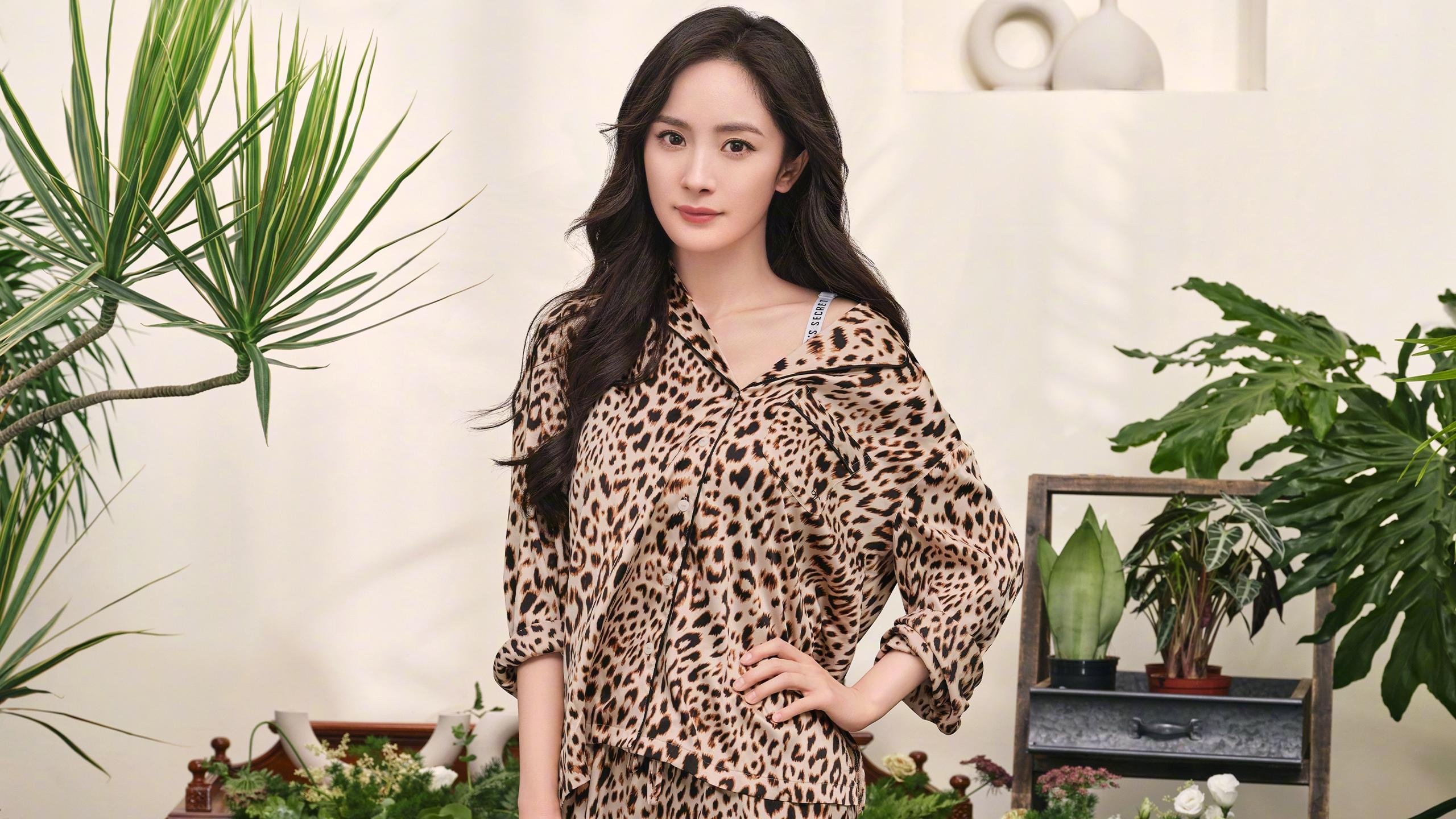 国际乒联混合团体世界杯:澳大利亚队表现抢眼却面临艰难挑战,澳大利亚乒乓国家队