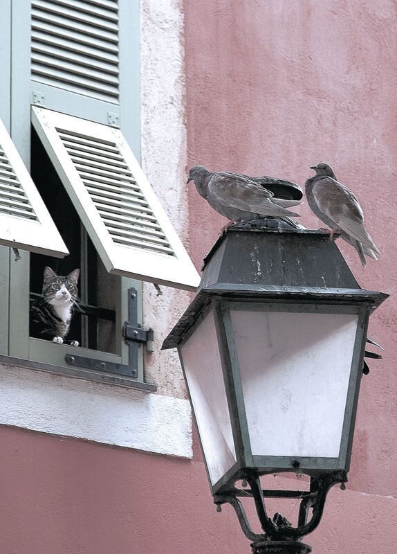 国际象棋中国锦标赛女选手发挥稳定,国际象棋女子中国选手