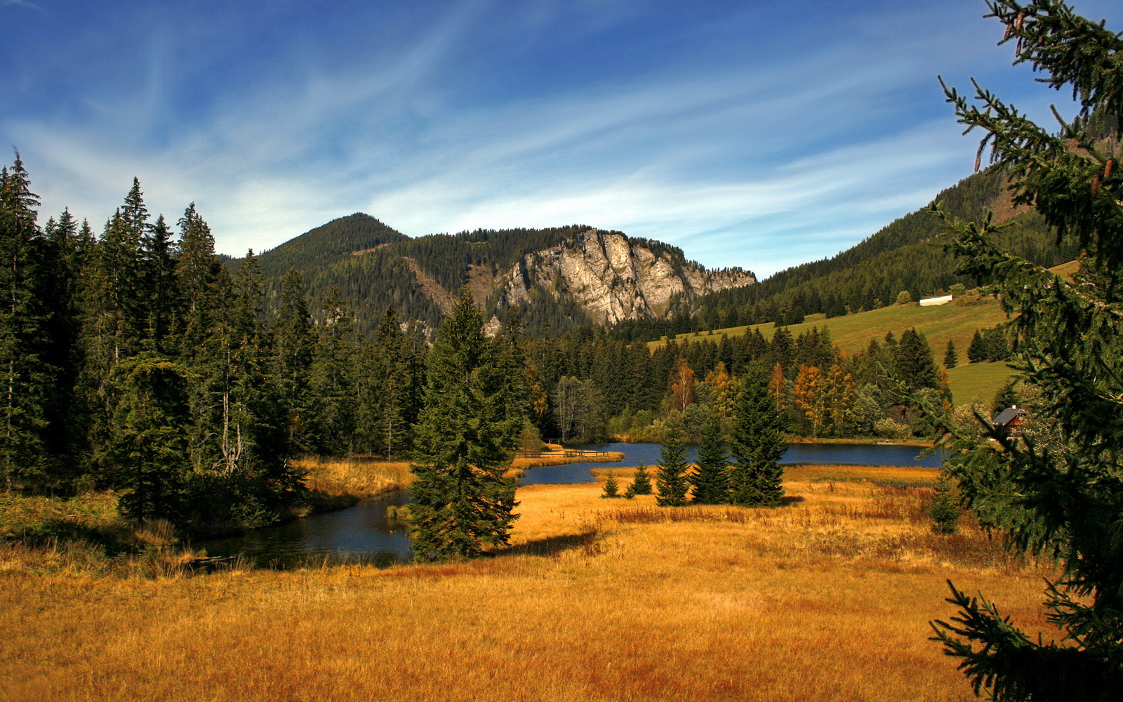 普里戈达:50蛙节奏控制堪称典范