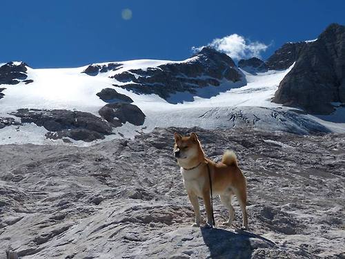 比赛转播技术升级扩大影响力,比赛转播设备